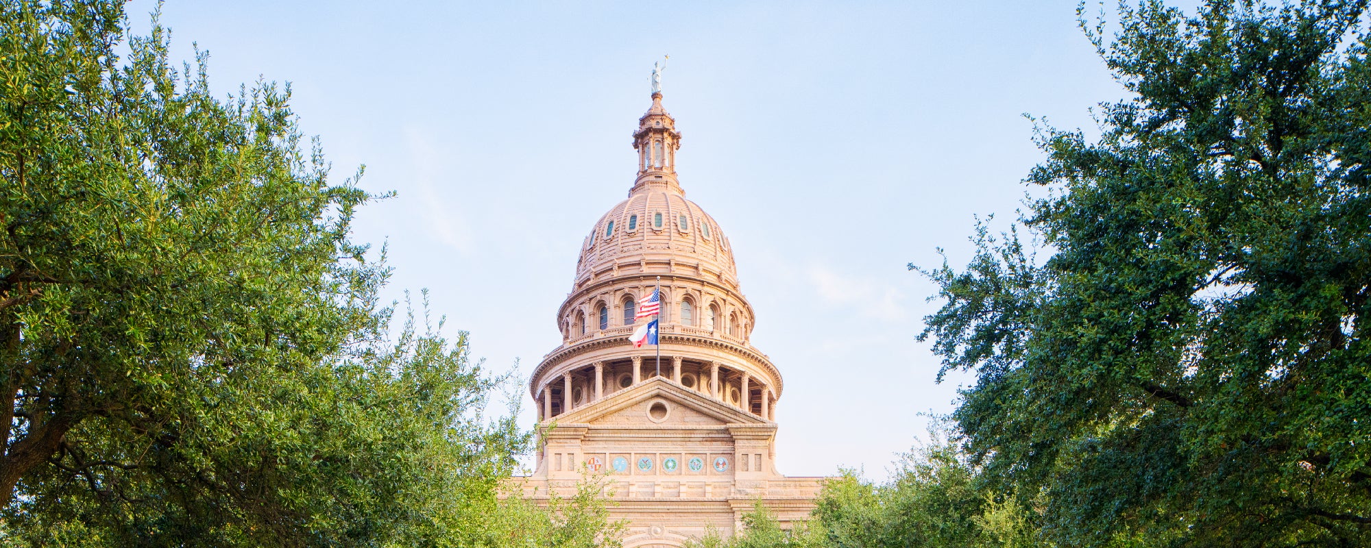 Austin Capitol building with trees in front of it